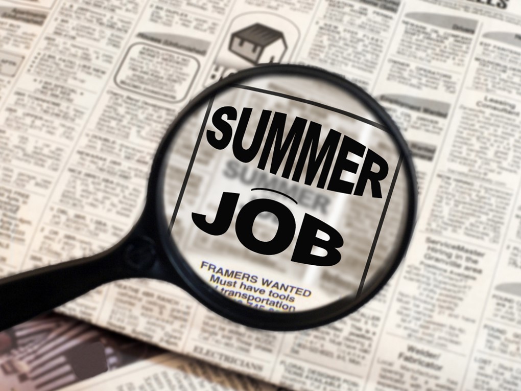 Online Summer Job