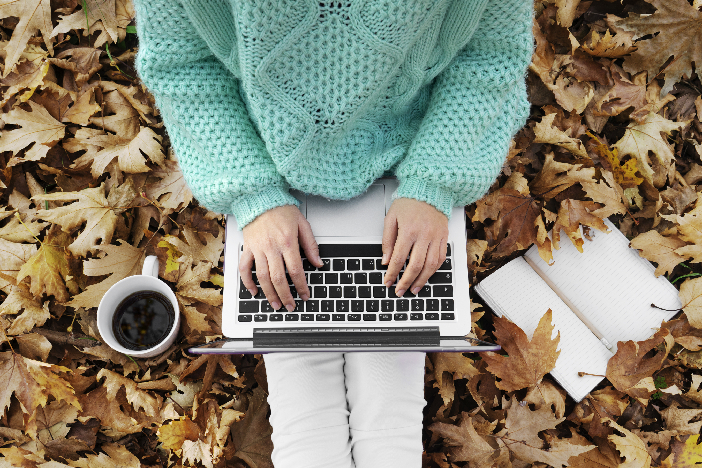 current telecommute job openings