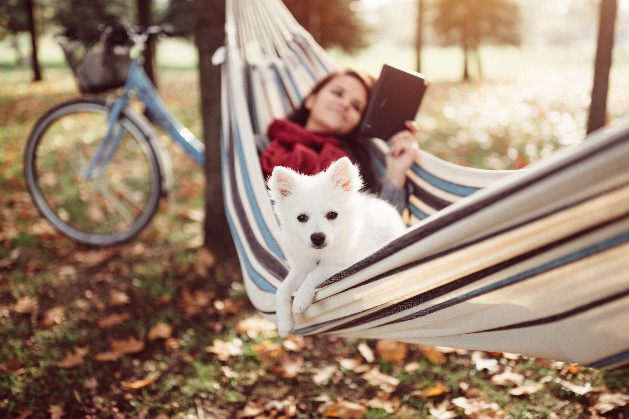 Relaxed girl in hammock November remote jobs