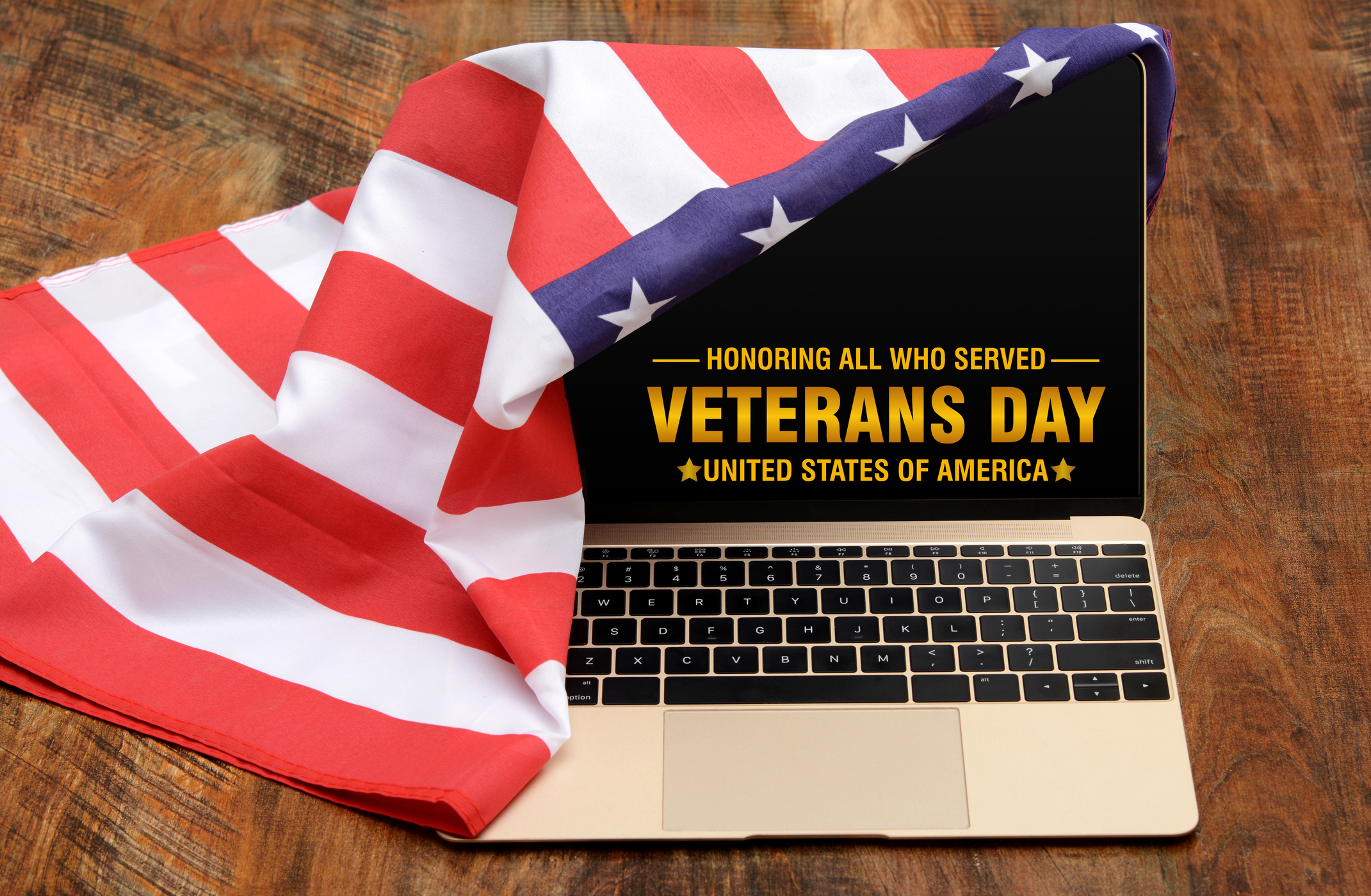 Thank you for Veterans Day Flag United State of America Veterans Day job leads
