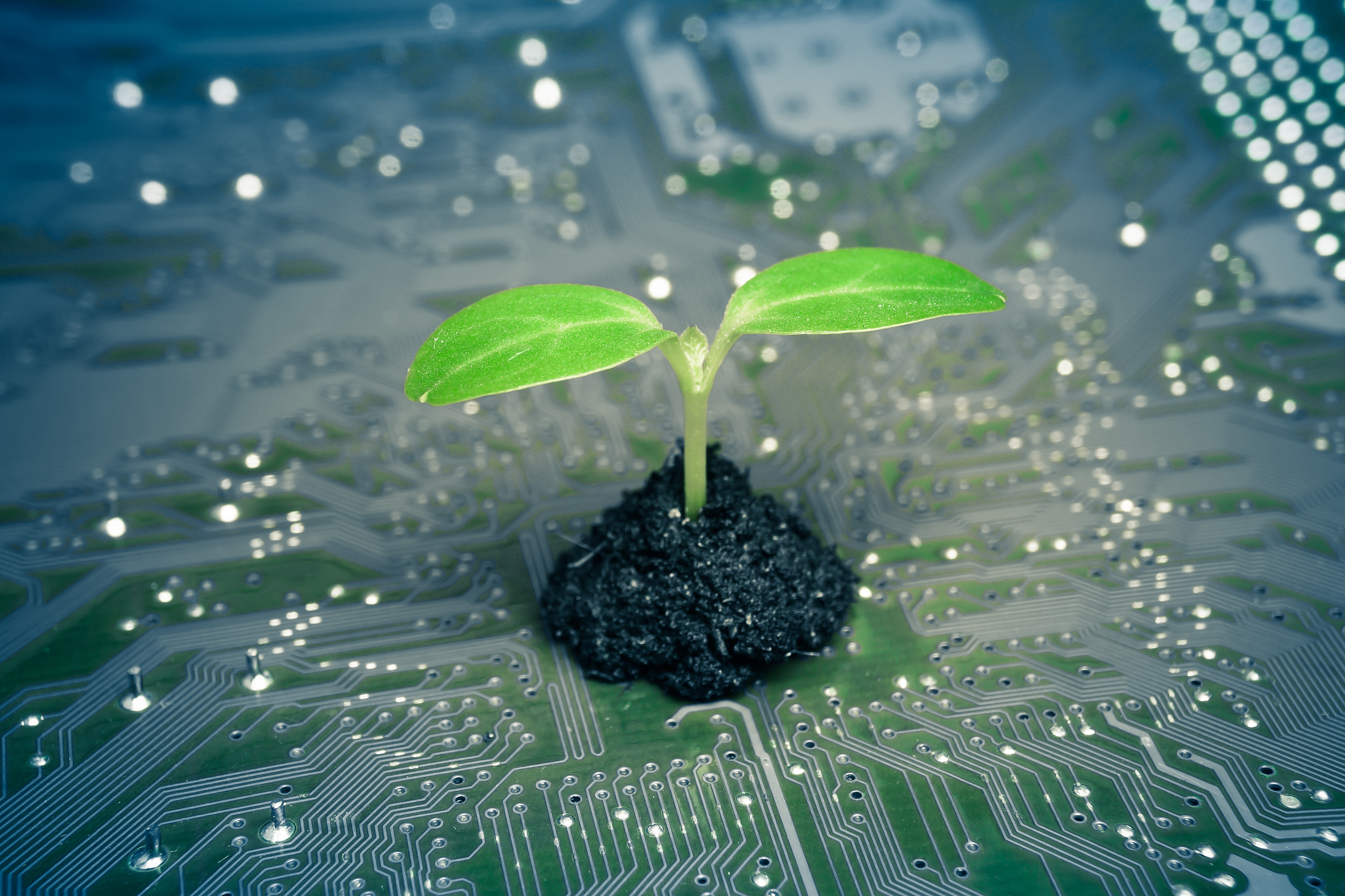Green IT environmental effects of remote work