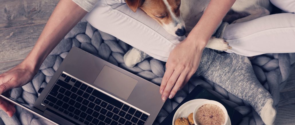 January remote jobs