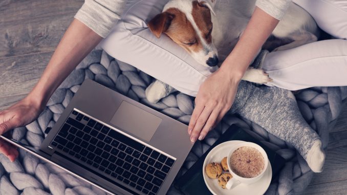 January remote jobs