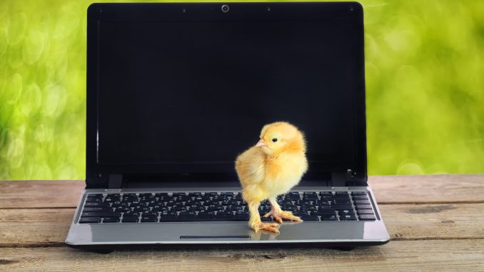 Virtual Vocations springtime telecommute jobs