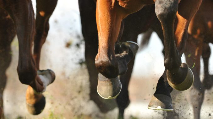 Derby Week job openings Virtual Vocations telecommute and remote jobs horse hooves racing down a track - Kentucky Derby - Derby Week job openings Virtual Vocations telecommute and remote jobs