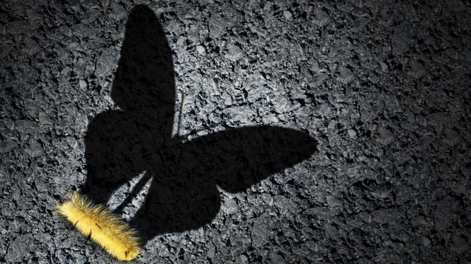 Virtual Vocations - 8 Signs to Change Jobs