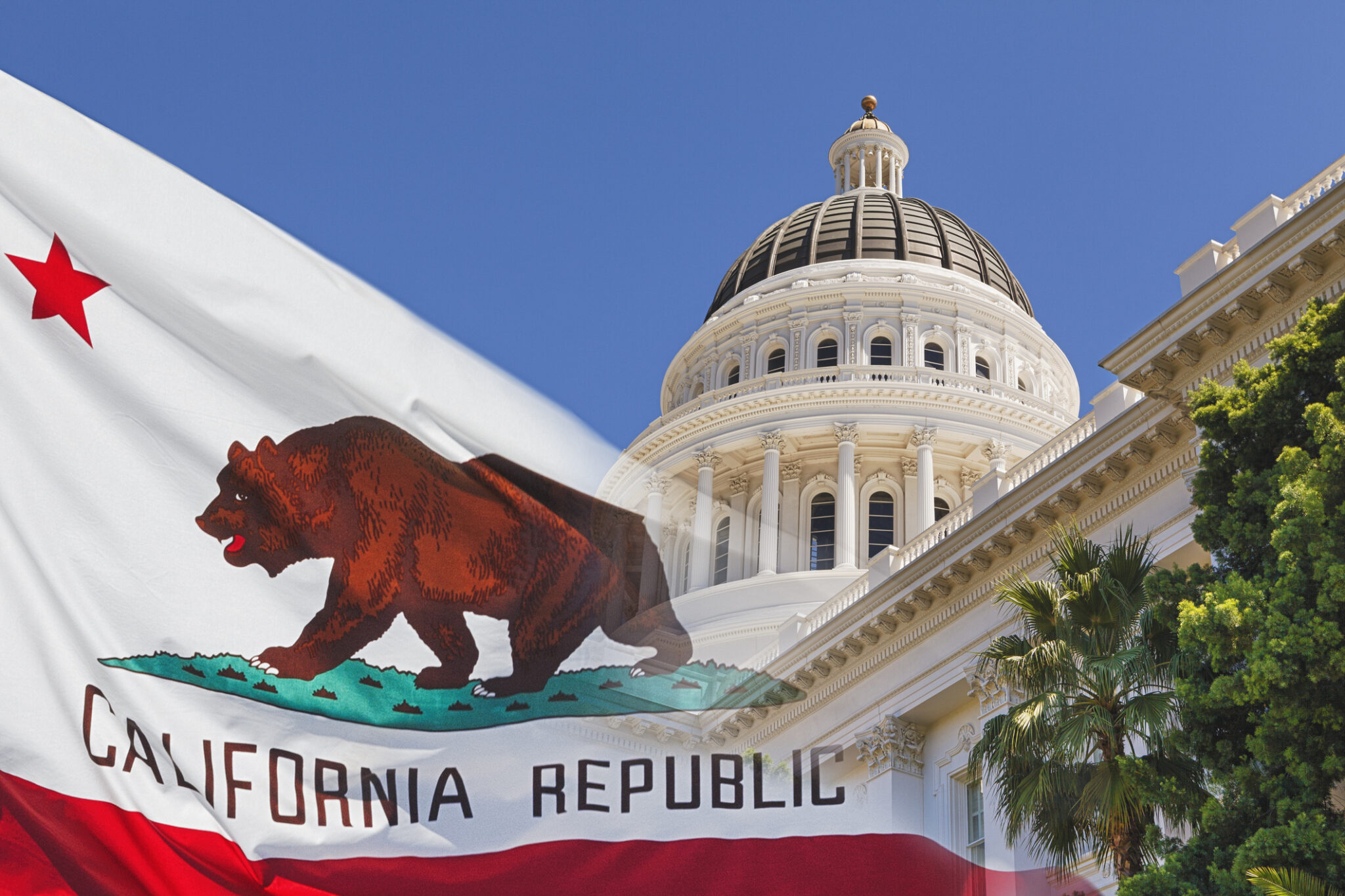 The New California Law That Could Negatively Impact Freelance Writers