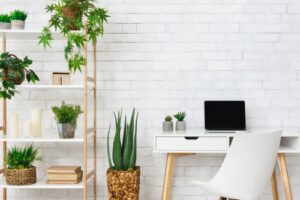 Home office with plants