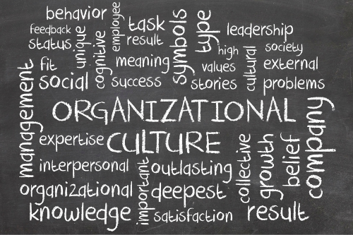 Company culture is a set of value and actions that enable an organization to function at the highest level.