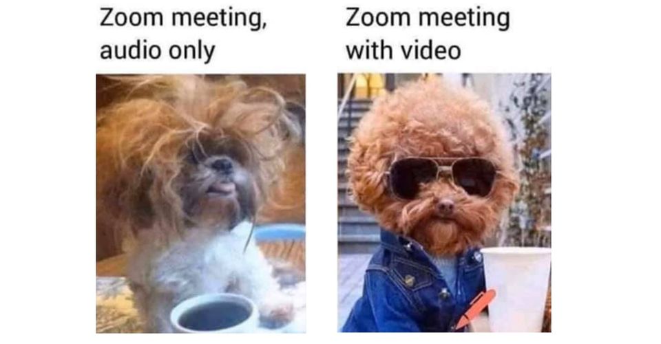 20 Funny Work-From-Home Memes - PowerToFly