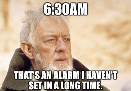 Best Working From Home Memes Of From Virtual Vocations