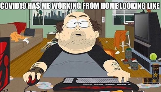 Best Working From Home Memes Of 2020 From Virtual Vocations