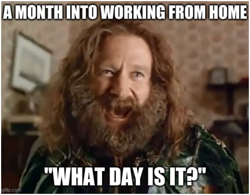 Best Working From Home Memes of 2020 From Virtual Vocations