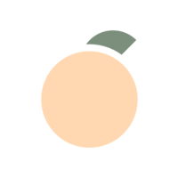 Peachtree Virtual Assistants