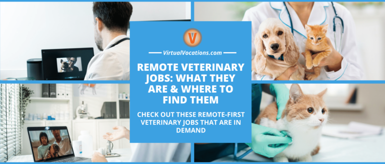 Remote Veterinary Jobs: What They Are & Where to Find Them