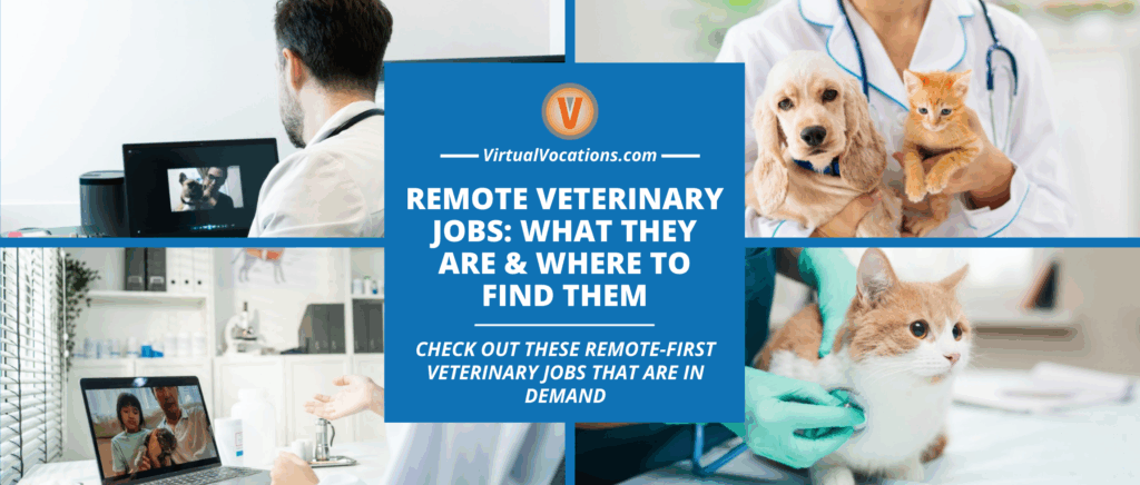 Remote Veterinary Jobs What They Are Where to Find Them featured image
